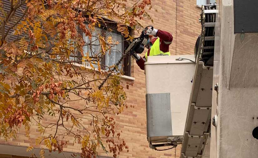 San Sebastián de los Reyes tratará más de 3.900 árboles