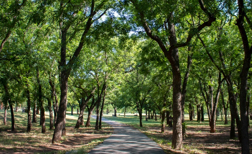 Santander lanza una encuesta ciudadana para diseñar su futuro verde