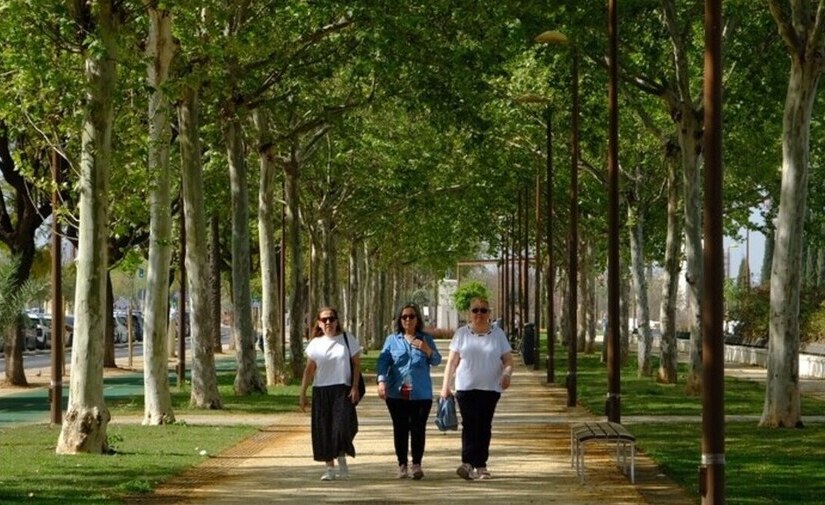 Sevilla consolida la conservación y limpieza de zonas verdes, arbolado y equipamientos del Paseo de Torneo
