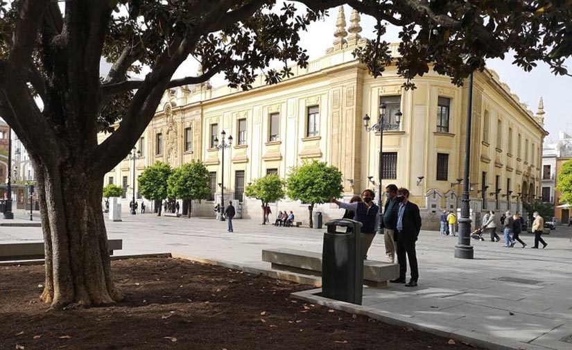 Sevilla elaborará un catálogo de árboles singulares