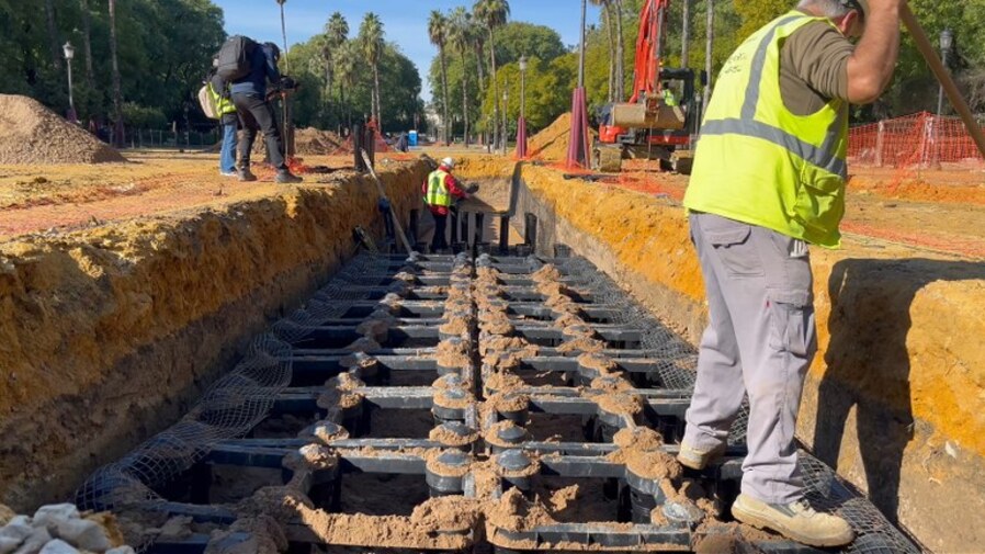 Sevilla incorpora geoceldas en el Prado de San Sebastián para mejorar el desarrollo del arbolado urbano