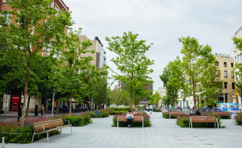 Sevilla innova en silvicultura urbana con la instalación de alcorques estructurales RootSpace de GreenBlue Urban