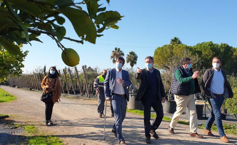 Sevilla suscribe el Acuerdo de Ciudad Verde de la Unión Europea