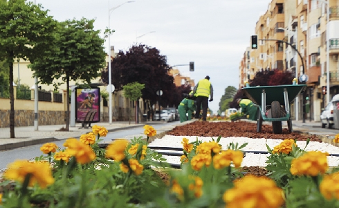 Albacete Green Energy