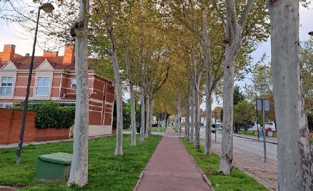 ACCIONA gestionará la conservación y el control de la vegetación en Getafe durante los próximos cuatro años