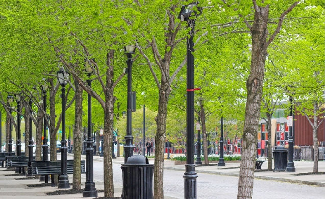 Andalucía destina cinco millones a proyectos municipales frente al cambio climático