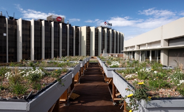 Arranca en Barcelona la prueba piloto de cubiertas naturalizadas sin riego adaptadas al clima mediterráneo