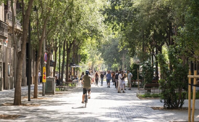Barcelona extenderá zonas de sombra en más de 80 espacios públicos para mitigar el calor urbano
