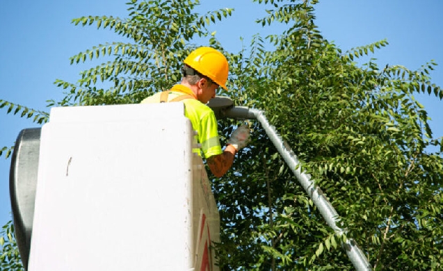 Barcelona invertirá 22 millones hasta 2028 para mejorar la eficiencia energética del alumbrado público