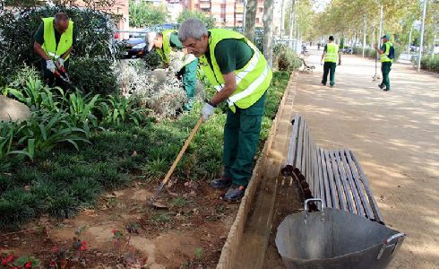 Calatayud adjudica el contrato de conservación y mantenimiento de las zonas verdes y el arbolado urbano