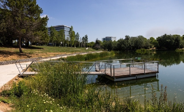 El AMB finaliza la mejora paisajística del estanque de la Guinardera de Sant Cugat del Vallés