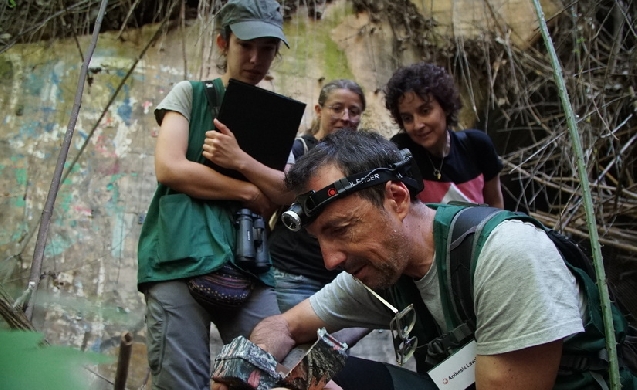 El ámbito metropolitano del río Llobregat alberga más de 2.500 especies de flora y fauna