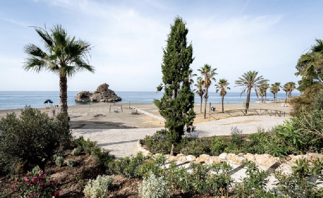 El Ayuntamiento de Málaga transforma el entorno del Peñón del Cuervo con una intervención paisajística pionera
