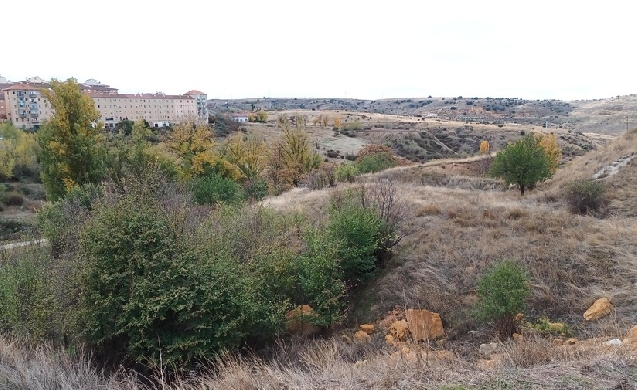 “Espacios de oportunidad: Acueductos de biodiversidad”