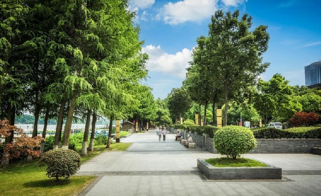 Estudian la efectividad de plantar árboles en las ciudades para reducir las temperaturas