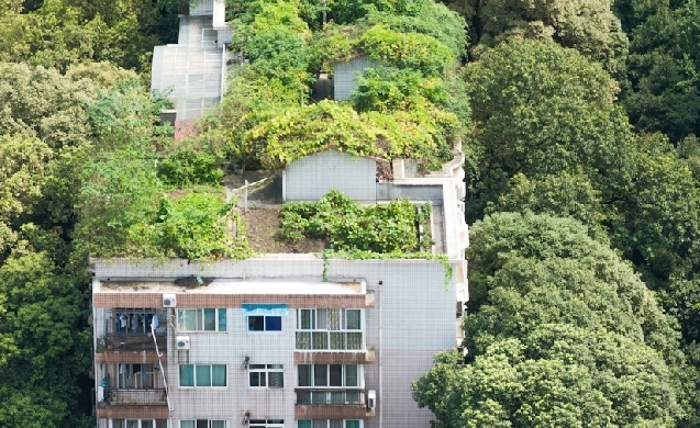 Hacia ciudades más saludables: las medidas de la COP30 para el futuro urbano