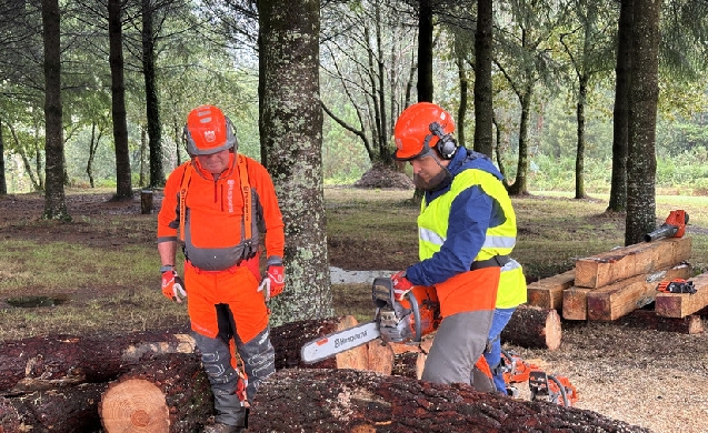 Husqvarna revoluciona el mercado profesional con sus nuevas motosierras 564 XP® y 550i XP®