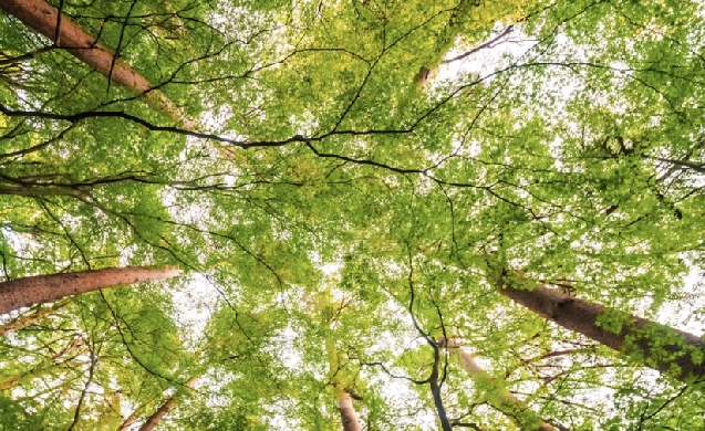 Inicia la Fase II del proyecto de la Vía Verde en Murcia