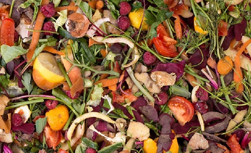 La Diputación de Álava crea Konposta Araba para mejorar la gestión de biorresiduos