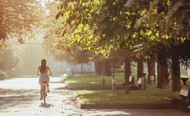 La Red de Ciudades por la Bicicleta reclama más consenso político para este medio