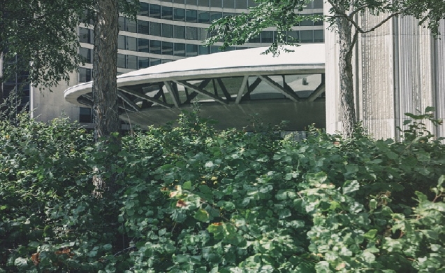 La vegetación urbana puede reducir la mortalidad asociada al calor y mejorar la resiliencia climática de las ciudades