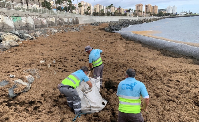 Las Palmas de Gran Canaria impulsa un nuevo modelo de limpieza y conservación del litoral