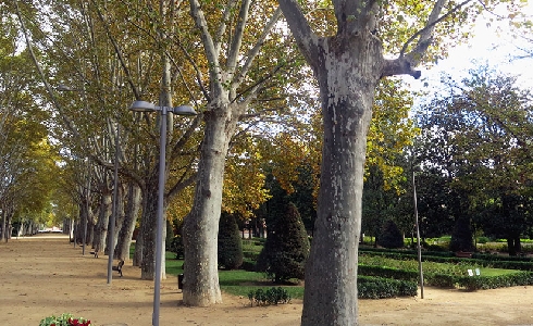 Lleida contará con un Plan de Espacios Verdes para mejorar la biodiversidad, servicios y conectividad del patrimonio natural