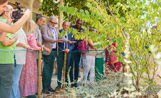 Lleida transforma el carrer Riu Ebre en un nuevo paseo verde para conectar ciudad y naturaleza