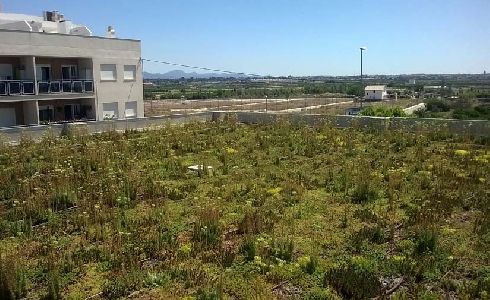 Los espacios verdes en las ciudades permiten gestionar el agua acumulada y evitar inundaciones en épocas de lluvia