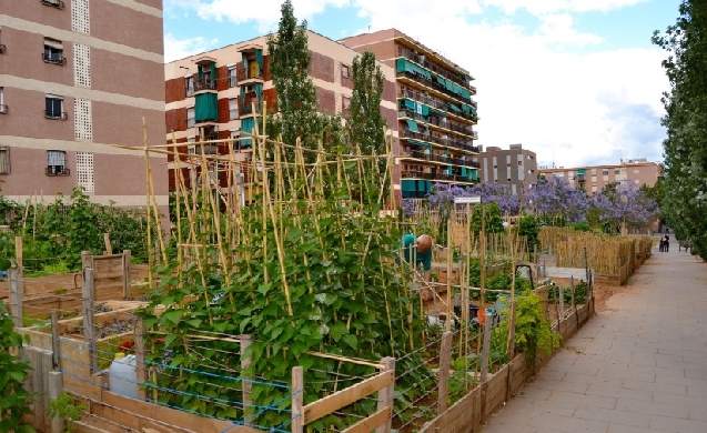 Los huertos urbanos pueden reducir hasta 2,84 ºC la temperatura de su entorno en las ciudades europeas