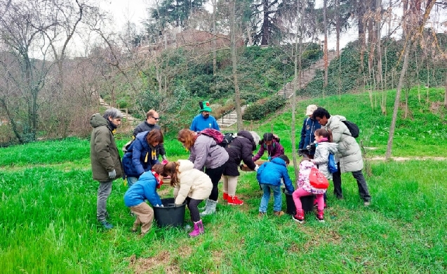 Madrid impulsa nuevas plantaciones y educación ambiental en el Día del Árbol