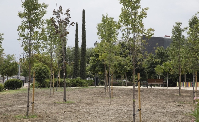 Madrid invierte 109 millones en infraestructura verde urbana para transformar la ciudad en un modelo más resiliente