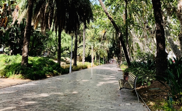 Málaga activa la última prórroga por 18,5 millones de los contratos de mantenimiento de zonas verdes y riego urbano