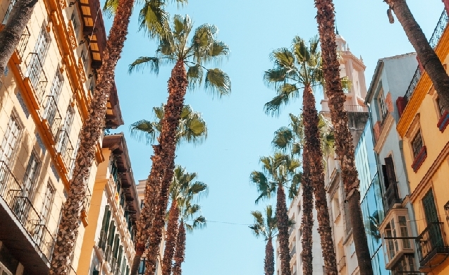 Málaga diseña su Plan de Infraestructura Verde y Azul para liderar la adaptación climática urbana