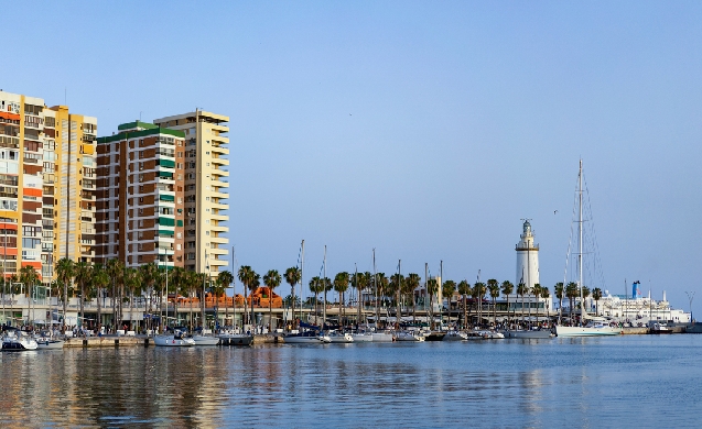 Málaga impulsa un plan de reforestación periurbana con 1 millón de euros y contrato a cuatro años