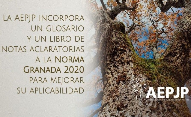 Nuevo glosario de la AEPJP sobre la Norma Granada 2020 para su mejor comprensión