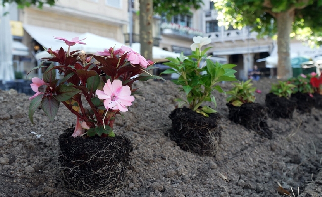 Pamplona actualiza el modelo de gestión de sus zonas verdes municipales