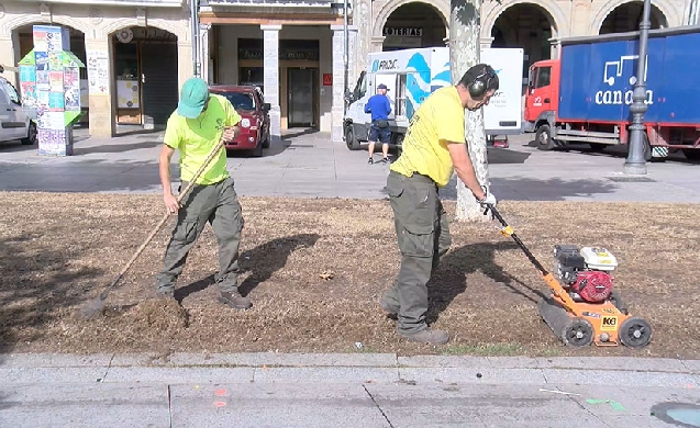 Recuperación natural de los jardines de Pamplona con empleo de la técnica de escarificación