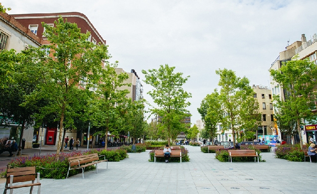 RootSpace, tecnología para convertir los espacios verdes en el alma de las ciudades