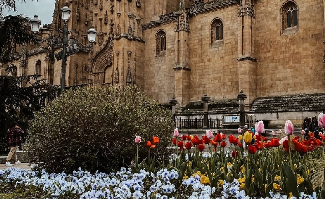 Salamanca continúa las obras de renaturalización de la ciudad