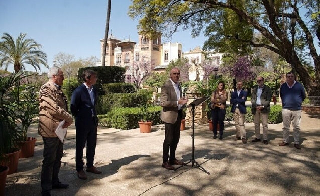 Sevilla duplicará su presupuesto anual para la conservación y mantenimiento del arbolado