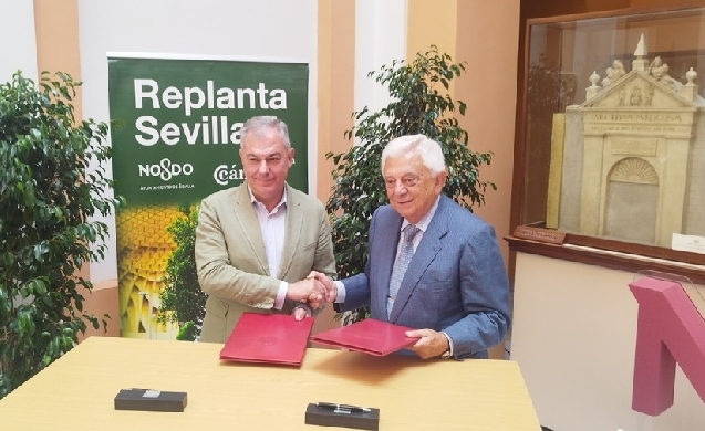 Sevilla impulsa Replanta 2.0: la ciudadanía podrá apadrinar árboles y contribuir al patrimonio verde urbano