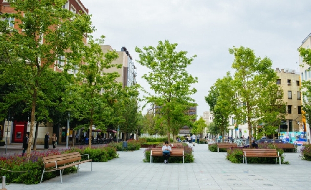 Sevilla innova en silvicultura urbana con la instalación de alcorques estructurales RootSpace de GreenBlue Urban