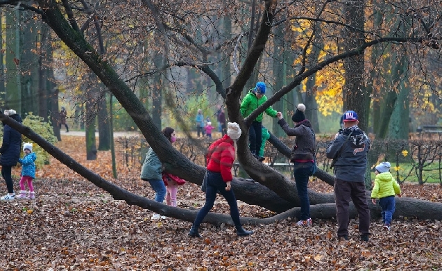 Solo el 13,5% de la población urbana europea cumple la regla 3-30-300 de acceso a espacios verdes
