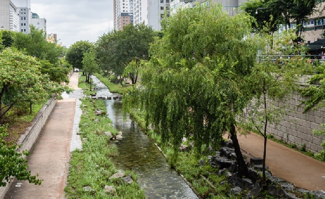 Un anillo verde metropolitano para reforzar la resiliencia del territorio valenciano frente a futuras riadas