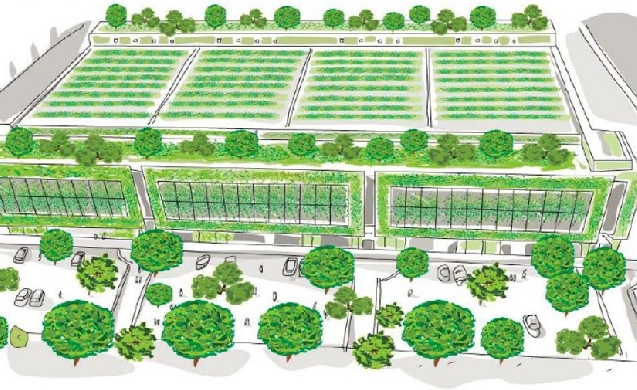 Un nuevo informe de Uforest muestra cómo incrementar el verde en las ciudades