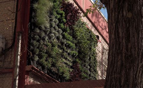 Un nuevo jardín vertical en València para aislar del ruido y reciclar las aguas residuales
