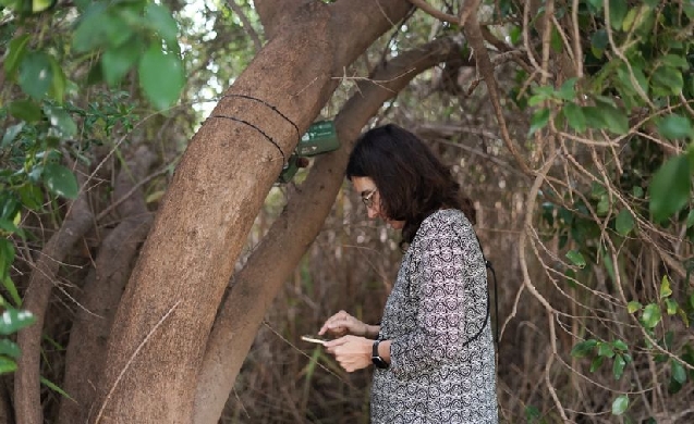 Valencia impulsa la monitorización de la biodiversidad urbana con inteligencia artificial y sensores acústicos