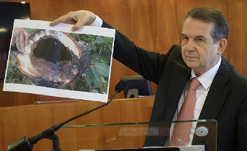 Vigo afronta el fin de la transformación de la Gran Vía con la plantación de árboles y arbustos