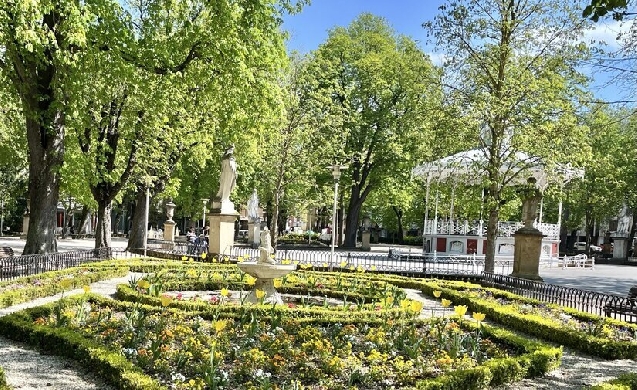 Vitoria-Gasteiz lidera la gestión ecológica del arbolado urbano con un plan integral para revitalizar sus suelos